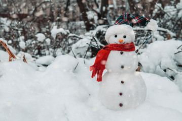 Snowman with cap and scarf in snowdrifts 