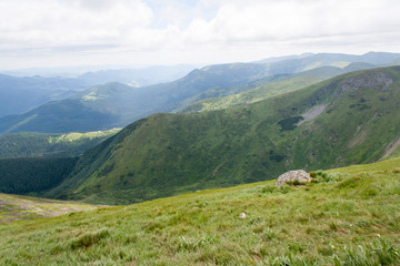Obraz premium Hoverla Mountain on a summer sunny day, Carpathians, Ukraine