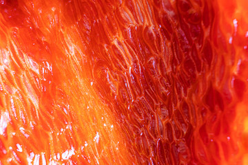 Detailed macro photo of red bell pepper. A fragment of the pulp of a ripe vegetable. The concept of organic food, vegetarianism. Place for text.