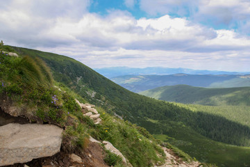 Fototapeta na wymiar Hoverla Mountain on a summer sunny day, Carpathians, Ukraine