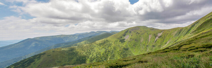 Obraz premium Hoverla Mountain on a summer sunny day, Carpathians, Ukraine