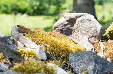 Close up of an handmade fence from rocks picked from the fields. Fence is surrounding a medieval St.Catherine's church and graveyard around it in Noarootsi, Western Estonia, North Europe.