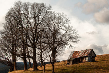 Alte H&uuml;tte in den Bergen, Rum&auml;nien