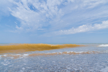 The sea shore at summer Sunny clear day in early summer