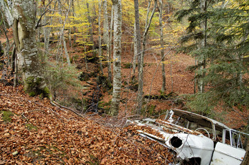 Fototapete bei efototapeten.de bestellen   