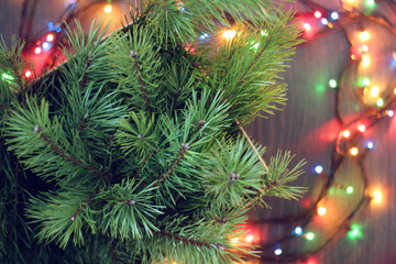 Christmas composition with fir branches and electric garland