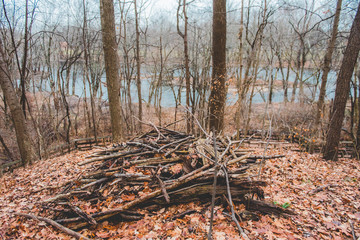 Obraz premium A pile of sticks and branches lay in a forest in Indiana