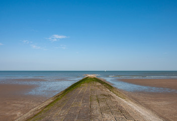 Seagull near breakwater in Ostend, Belgium