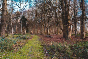 Nature reserve Oranjezon, Zeeland, the Netherlands watchtower