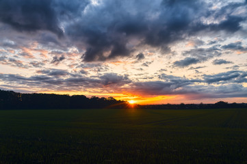 Fototapeta na wymiar beautiful sunset over a meadow with dramatic sky