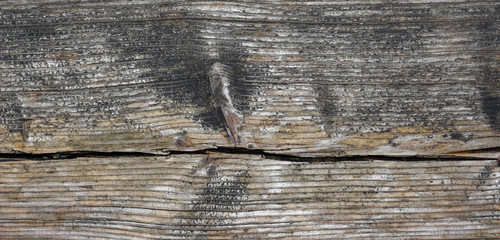 old wood texture background