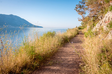 Fototapeta na wymiar A path along the sea. Sunny summer landscape in Montenegro
