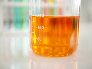 the glassware beaker containing the color chemical in science medical laboratory university