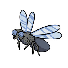 Insect fly. Vector cartoon illustration line drawing