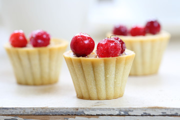 Fruit cupcakes with hazelnuts on a white background