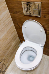 Modern white plain clean toilet bathroom. House