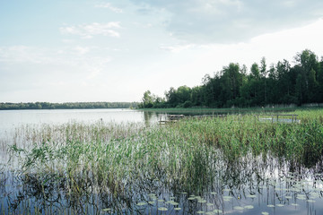 Lake forest green landscape nature of Russia
