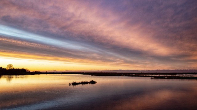 Lio Piccolo, laguna di Venezia
