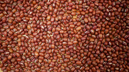 Adzuki beans plant detail, azuki red mung bean pulses healthy nutrition, superfood. China Himalayas is popular Asia shop store, red food, paste cuisine raw Vigna angularis, eaten raw bio organic