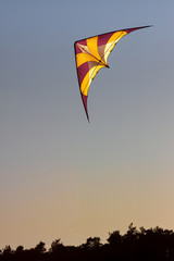 kite flying in the sky
