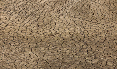 texture of cracked soil texture concept of dry ground and ecology