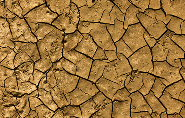 cracked soil texture concept of dry ground and ecology