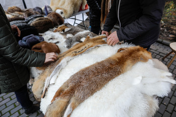 Skinned fox and other animals furs on exhibition at a peasants fair in Bucharest, Romania.