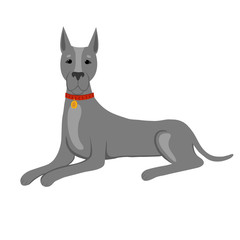 Grey great Dane. Vector illustration.