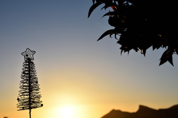 Silhouette of a small Christmas tree at sunset