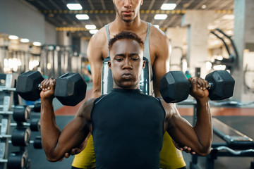 Two men doing exercise with dumbbells on bench