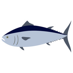 Fototapeta premium Tuna isolated on white. Vector illustration.