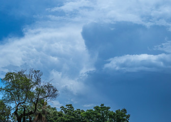 Obraz premium Storm clouds build up over a green treeline image for background use with copy space in horizontal format
