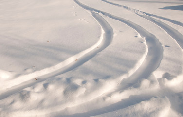 Winter, footpronts, tire tracks in the snow, snowy trees