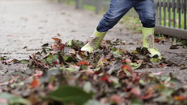 A little boy in rubber boots and jeans rakes autumn yellow leaves with his feet and walks on the leaves
