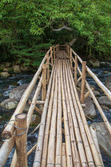 Bamboo bridge over the river in Unknown source "Mooc Spring Eco Trail", Phong Nha National Park, Vietnam
