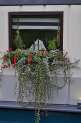 Fototapeta na wymiar River Cafe window decorated with flowers in Krakow Old Town. Stare Miasto. Poland