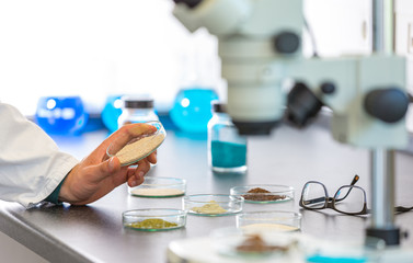 Granulate unter dem Mikroskop