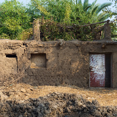 Fototapeta premium Facade of village clay rocked brown house with exotic plants on roof