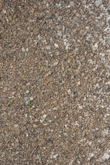 texture of concrete