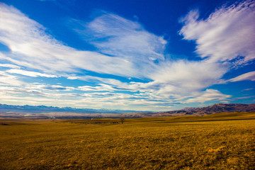 Obraz premium sunset over the field