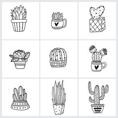 Vector different Cactus and exotic plants collection design art