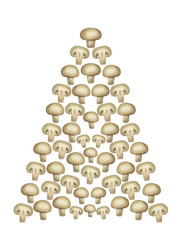 Christmas tree ornament made of mushrooms. Vegetarian and vegan Christmas tree. Conceptual creative design element