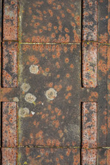 rusty metal background with rivets