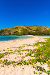 View of the sandy beach of the island, Fiji. Copy space for text. Vertical