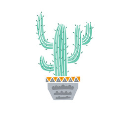 Vector cactus illustration isolated on white background