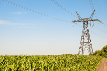 Power Transmission Tower. Air wires hi-voltage electric line supports at corn field under blue sky.