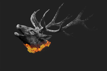 Burning elk background 