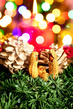 weihnachtskrippe