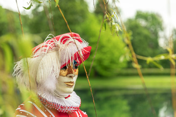 A man standing in mask and red masquerade costume agains the pond background - 311238986