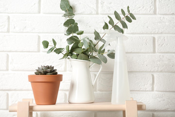 Beautiful plants and spray bottle on wooden shelf near brick wall at home